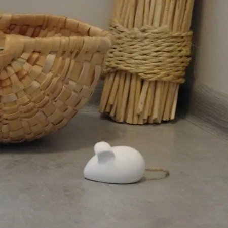 Sarni Stok Apartmán *