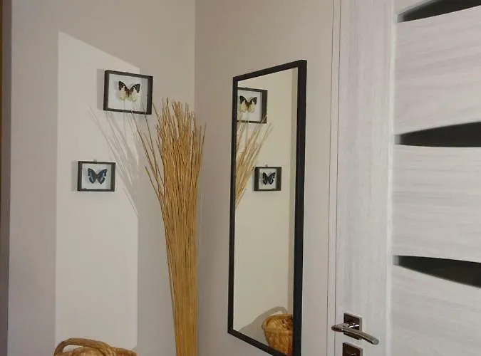 Sarni Stok Bielsko-Biała